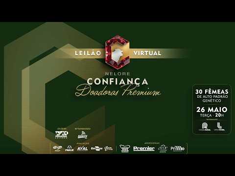 LOTE 05   DVD 6601