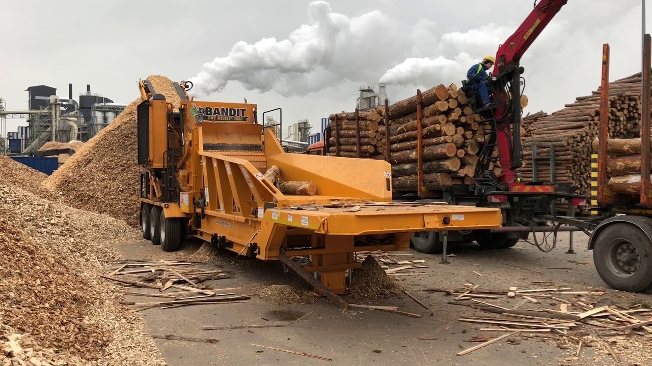 BANDIT BEAST MODEL 3680 / 768KM VOLVO (GŁOWICA NOŻOWA/CHIPPER DRUM)