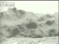Πήγαν να δουν την παλίρροια και τους «κατάπιε» τσουνάμι [photos-video]