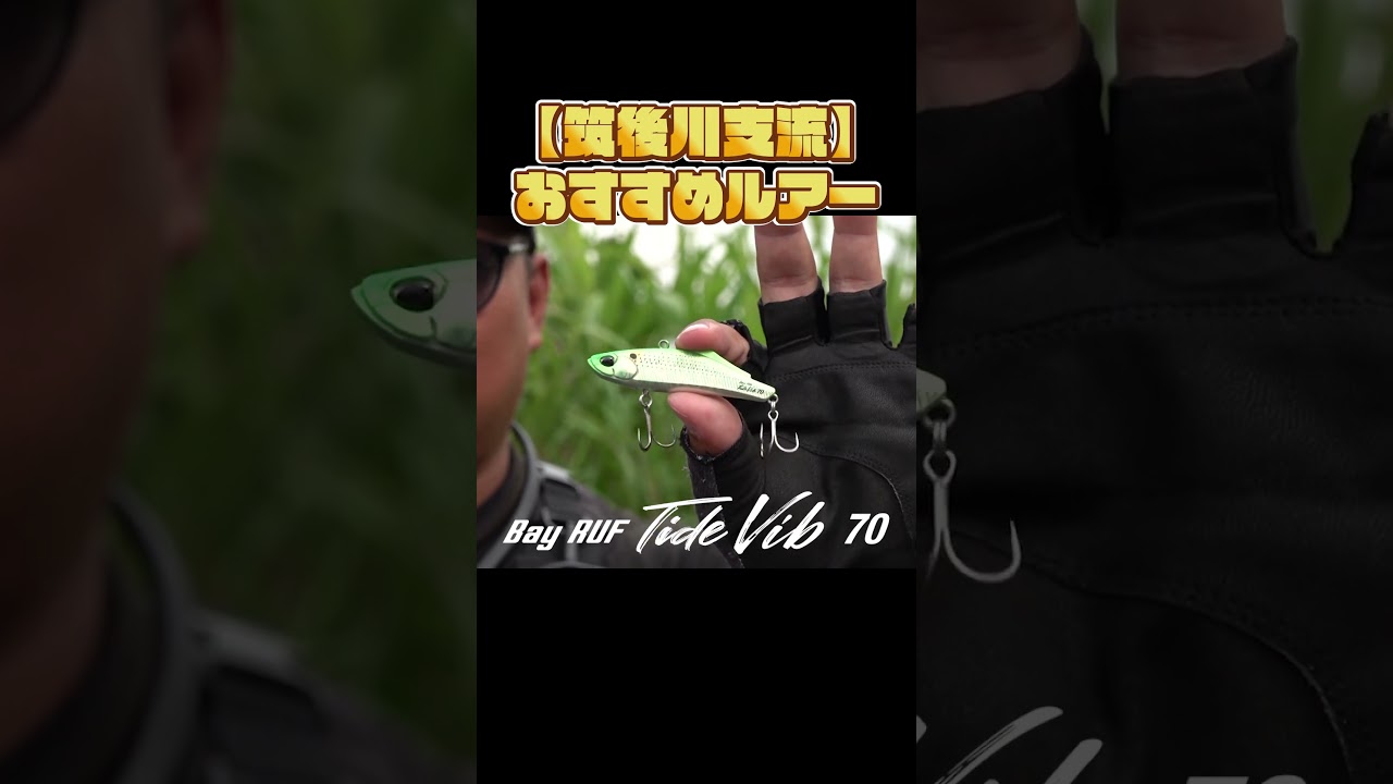 The Shinohara brothers' picks for lures to conquer the Chikugo