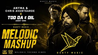 Anyma & Chris Avantgarde X Tod Da E Dil – Ammy Virk | Melodic Techno Mashup | DUSTY MUSIC
