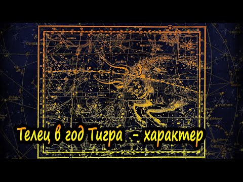 Телец в год Тигра - характер