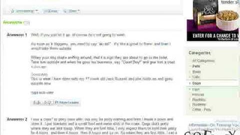 Yahoo Answers Targeted Traffic - So Fruity Web Design Video Series