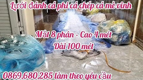 Lưới đánh cá 3 màn - Lưới Cá Phi Cá chép Cá mè vinh