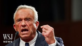 RFK Jr. Challenged on Past Statements About Lyme Disease, Abortion | WSJ News