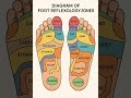 Foot Reflexology your DIY everyday. Press clockwise for activation. Loosen up counterclockwise.
