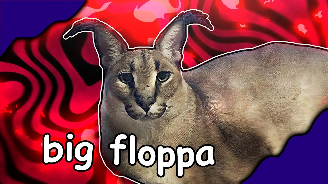 Conheça Big Floppa, o gato que virou a grande estrela dos memes na