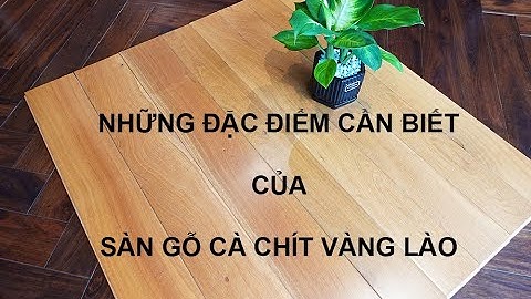 ĐÁNH GIÁ SÀN GỖ CÀ CHÍT VÀNG LÀO: SÀN GỖ TỰ NHIÊN MỞ RỘNG KHÔNG GIAN HIỆU QUẢ