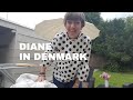 Diane in Denmark - Question and Answer Time! 5