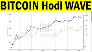 1 Year+ Hodl Wave Chart Explained | What Onchain Data Tells Us | Bitcoin HODL Wave