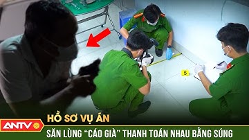 Hồ sơ vụ án: Công an tung 