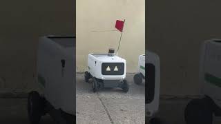 Here's My Cool White Delivery Robot Friends Hanging Out Outside in a Nutshell, Guys!