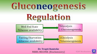 16: Gluconeogenesis- Regulation | Carbohydrates metabolism | Biochemistry |N'JOY Biochemistry