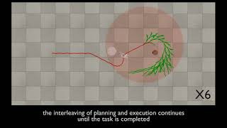 Anytime Whole-Body Planning/Replanning for Humanoid Robots