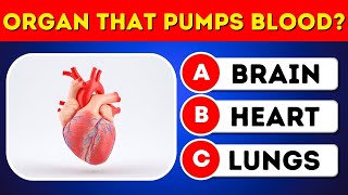 20 Human Body Questions That Stump Most People