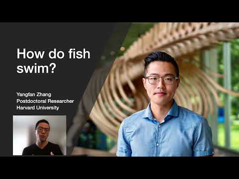 Fish Athletes with Yangfan Zhang