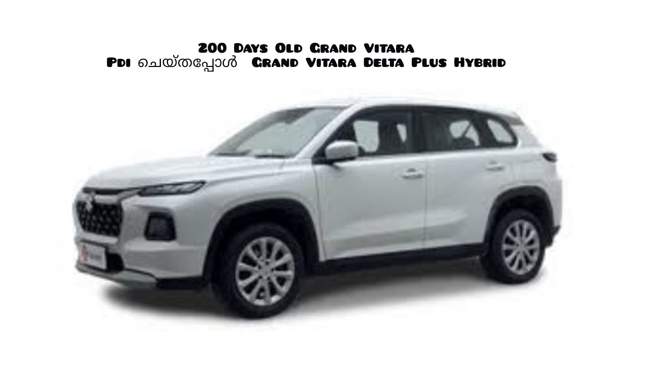 200 Days Old Grand Vitara PDI ചെയ്തപ്പോൾ | Grand Vitara Delta Plus Hybrid 