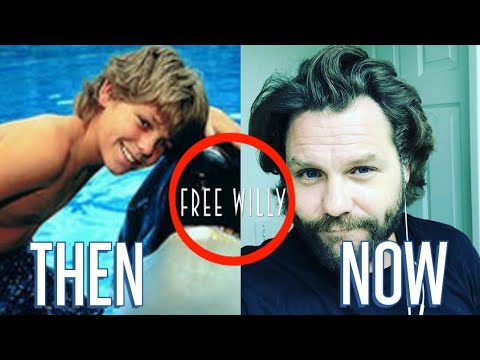 Free Willy (1993)