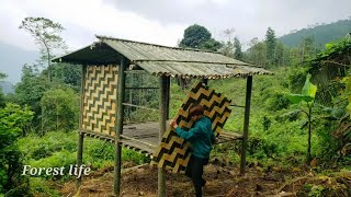 How to build a bamboo house, build a new life | forest life