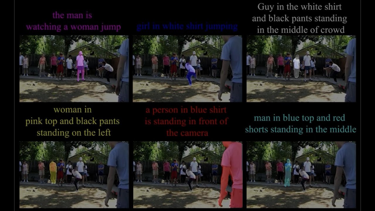 "Language-Bridged Spatial-Temporal Interaction for Referring Video ...