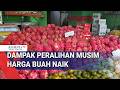 Dampak Peralihan Musim Harga Buah Naik