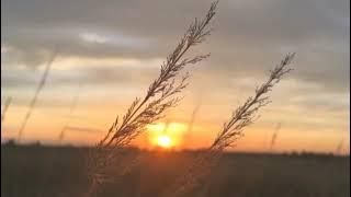 along spoon tiada rindu lagi