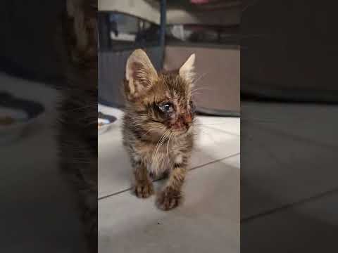 Fabio (als er gefunden wurde)