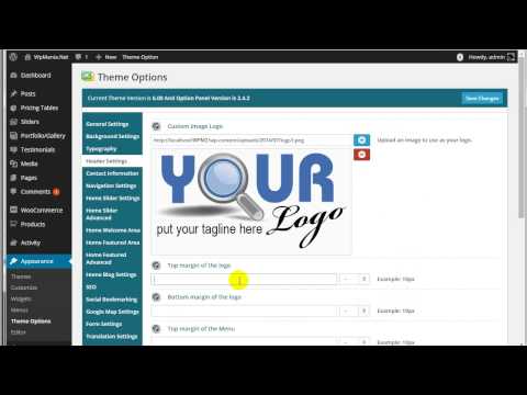 WpMania.Net: Header settings ( theme options )