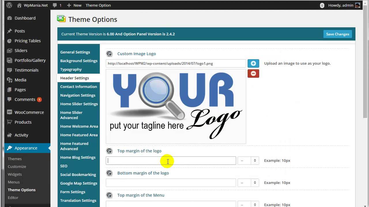 WpMania.Net: Header settings ( theme options )