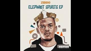 ZIDDO - Elephant Spirits (Remix) || Afro House Source | #afrohouse