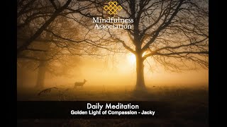 Daily Meditation   Golden Light of Compassion   Jacky