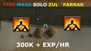 LVL 40-50 FIRE MAGE SOLO 'ZUL´FARRAK ' 300K+ EXP/HR - Season of Discovery