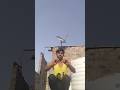 leg exercise #fitenss #motivation #shotrs #viralvideo