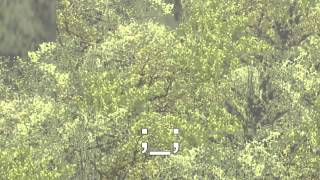 I Kill Physics - NR2003