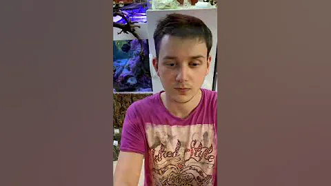 Открываю террариум Хамелеона