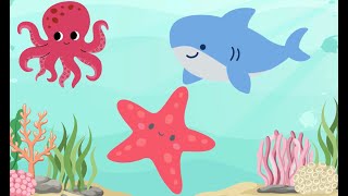 🐠🐳 Dive Into the Ocean! 🌊🐙 Fun Sea Animals Learning for Kids 🌟🐢 Let’s Explore the Ocean and Learn🐙🐬