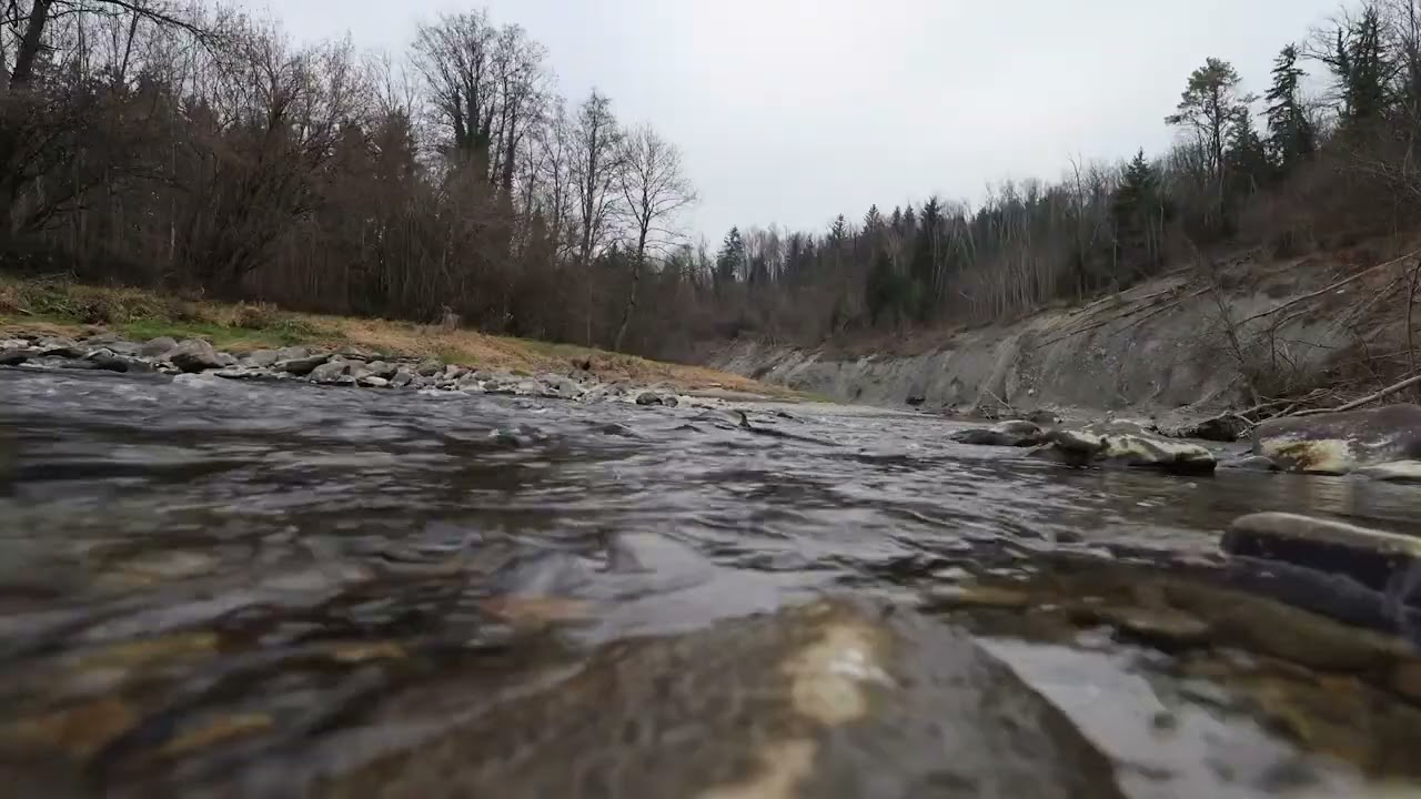 12 Hours of Tranquil Nature Ambience - Ultimate Sleep and Relaxation Soundtrack and Sleep fur TV