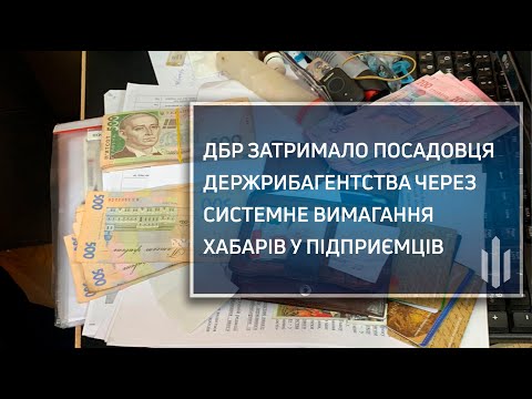 ДБР затримало посадовця Держрибагентства через системне вимагання хабарів у підприємців
