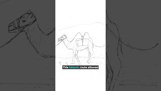 The Silk Road and its history in a Short interesting video #drawing #history #facts #shorts#art