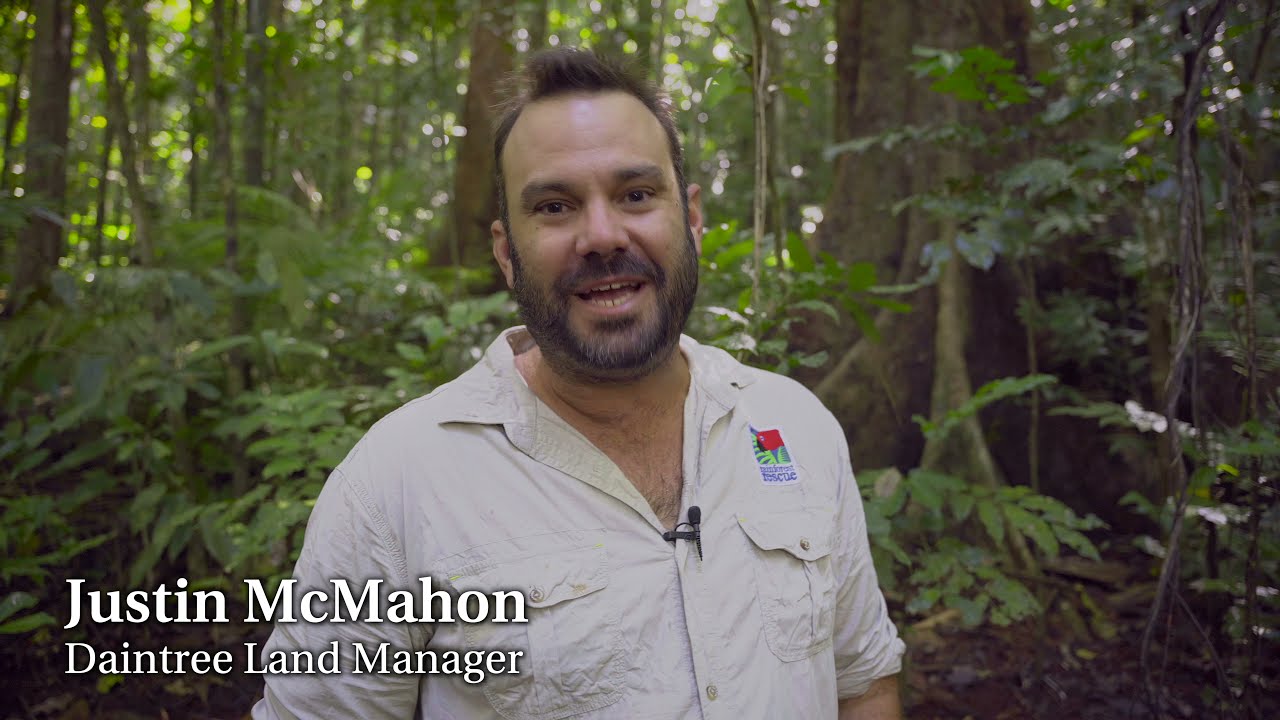 Rainforest Rescue's Justin McMahon on Lot 18 Cape Kimberley - Save Daintree Rainforest Habitat