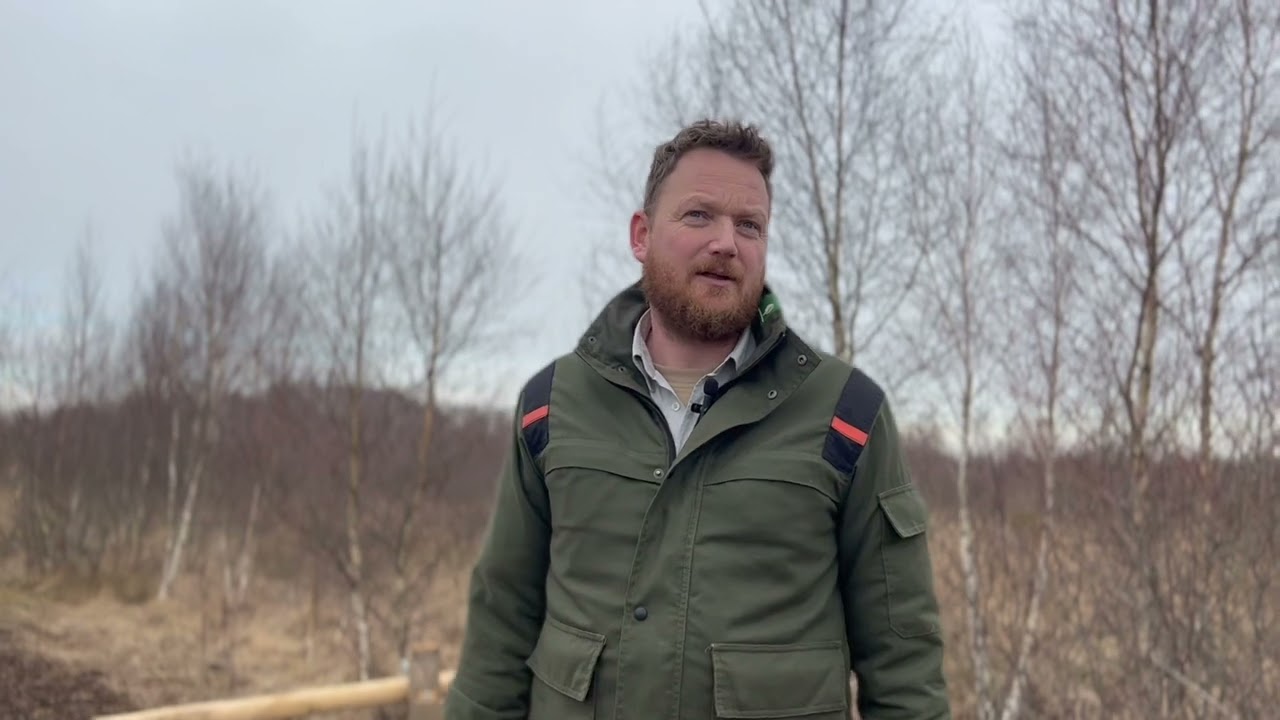 Vlog Haaksbergerveen