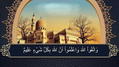 سوره البقره الصفحه  ٣٦ تلاوه  الشيخ/ محمد صديق المنشاوى