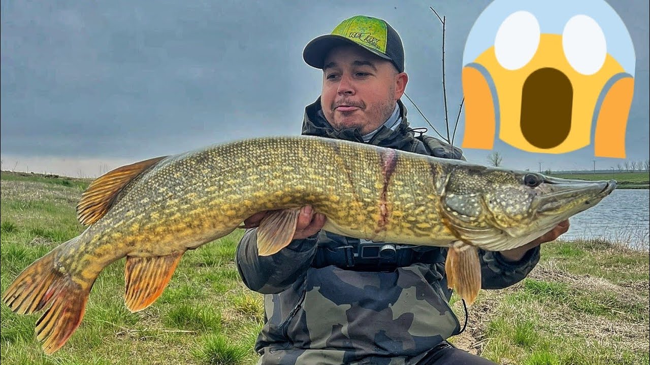 Stiuci IMENSE pe PLOAIE 🌧️🌧️