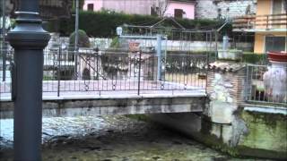 sefro centre and river