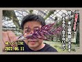 考えごとをしたいので明日午前中植物園に行きます