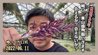 考えごとをしたいので明日午前中植物園に行きます