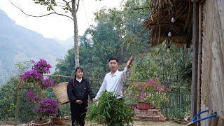 CEO Tuan schonk zijn oude huis aan Tu Man, een alleenstaande moeder die drie maanden zwanger is.