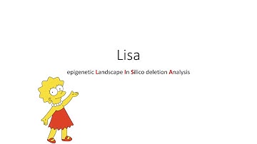 Lisa Tutorial