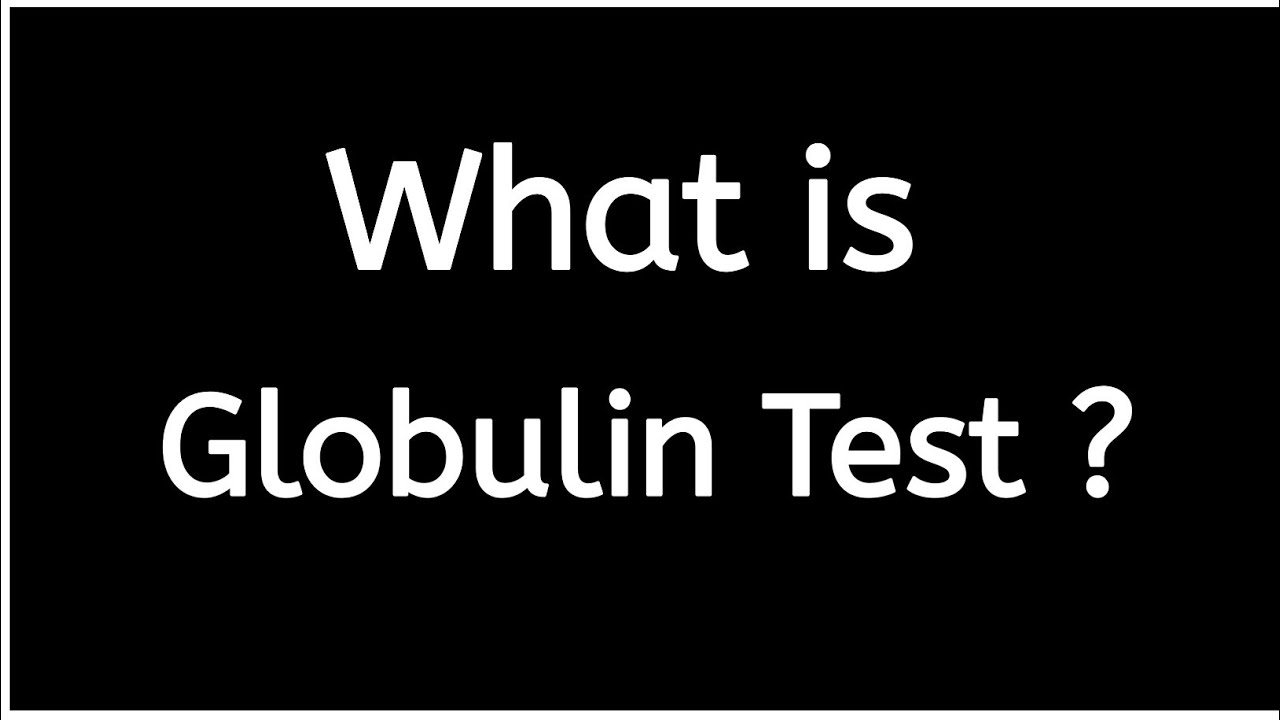 What is Globulin Test?