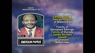 Emerson Papius long Net Worth